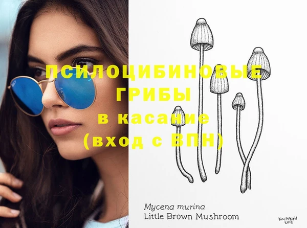 трава Абдулино